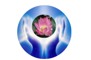 MASSE Catherine La Roche-sur-Yon, Professionnel indépendant